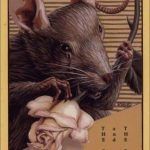 The Rat and the Rose: A Naughtobiography by Arnold Rabin